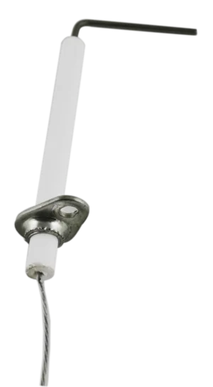 Electrode détecteur