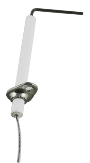 Electrode détecteur